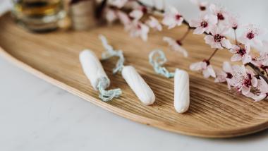 FDP Schwaben Daniela Busse Menstruation