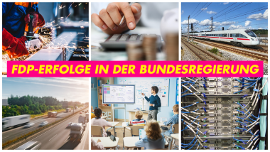 FDP-Erfolge in der Bundesregierung.